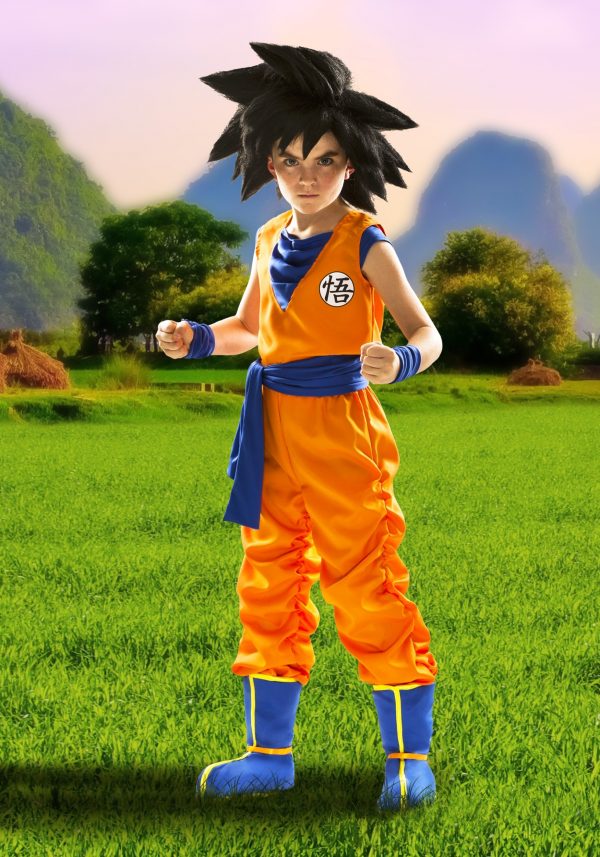 Fantasia de Goku para meninos- Boys Goku Costume