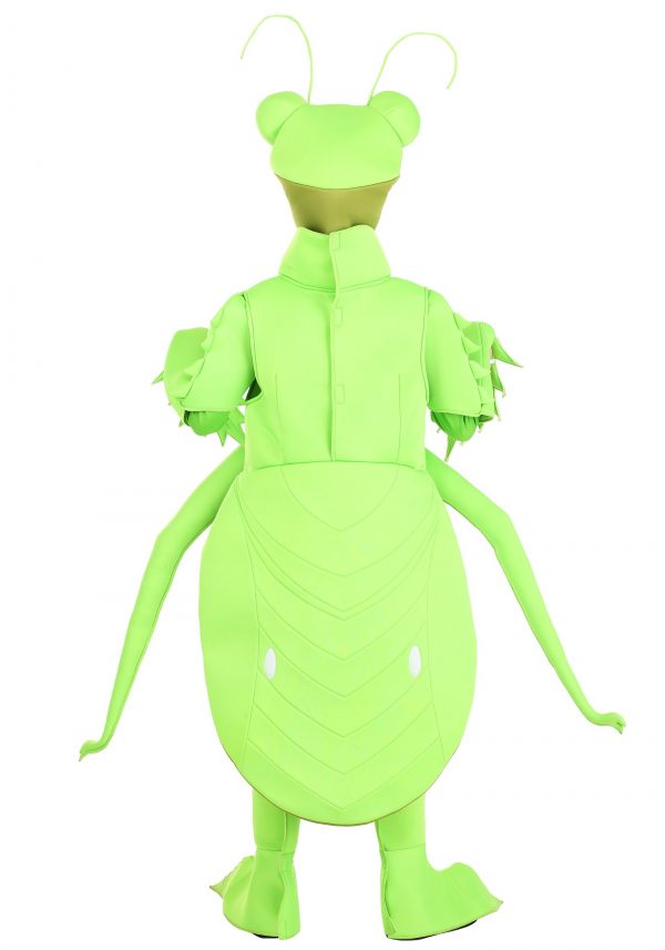 Fantasia de Louva-a-deus para crianças – Praying Mantis Costume for Kid’s