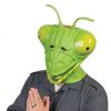 Máscara Louva-a-deus – Praying Mantis Mask