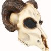 Máscara de crânio de carneiro – Ram Skull Mask