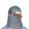 Máscara de pombo – Pigeon Mask