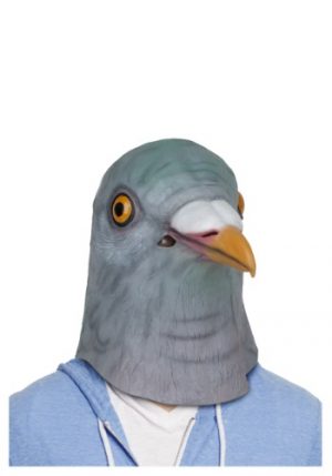 Máscara de pombo – Pigeon Mask