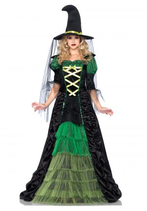 Fantasia  de bruxa adulto – Adult Storybook Witch Costume