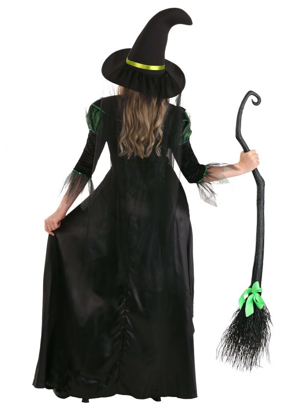 Fantasia  de bruxa adulto – Adult Storybook Witch Costume