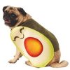 Fantasia adorável de cachorro abacate – Adorable Avocado Dog Costume
