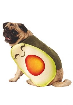 Fantasia adorável de cachorro abacate – Adorable Avocado Dog Costume