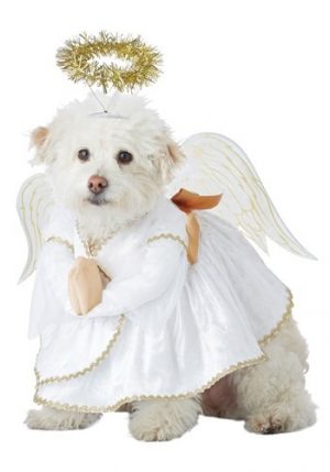 Fantasia de Anjinho para animais de estimação – Heavenly Hound Animal Costume