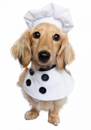 Fantasia de Cachorro Chef – Chef Dog Costume