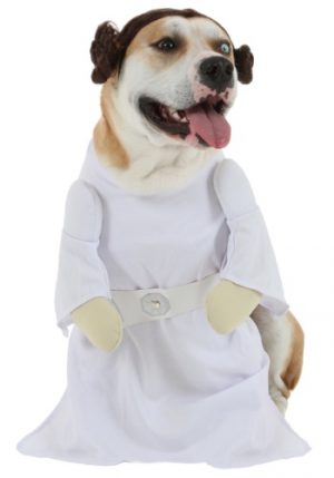Fantasia de Cachorro da Princesa Leia – Princess Leia Dog Costume