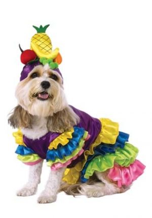 Fantasia de Carmem Miranda para Cachorro – Brazilian Bombshell Pet Costume