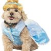 Fantasia de Cinderela Cachorro – Cinderella Dog Costume