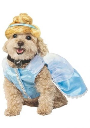 Fantasia de Cinderela Cachorro – Cinderella Dog Costume