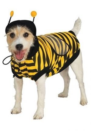 Fantasia de abelhinha para cachorro – Bumble Bee Dog Costume
