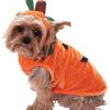 Fantasia de abóbora para cães – Pumpkin Costume for Dogs