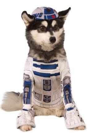 Fantasia de animal de estimação de Star Wars R2-D2 – Star Wars R2-D2 Pet Costume