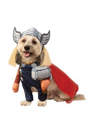 Fantasia de animal de estimação de Vingadores Thor – Avengers Thor Pet Costume
