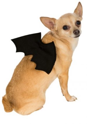 Fantasia de animal de estimação de asas de morcego – Bat Wings Pet Costume