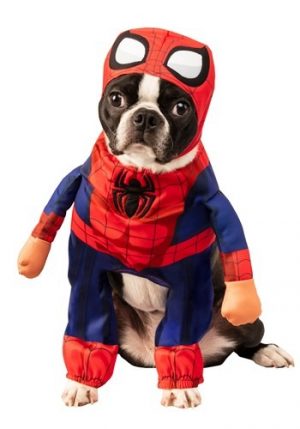 Fantasia de animal de estimação do Homem Aranha – Spider Man Pet Costume