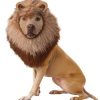 Fantasia de animal de estimação do leão – Lion Pet Costume