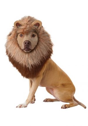 Fantasia de animal de estimação do leão – Lion Pet Costume