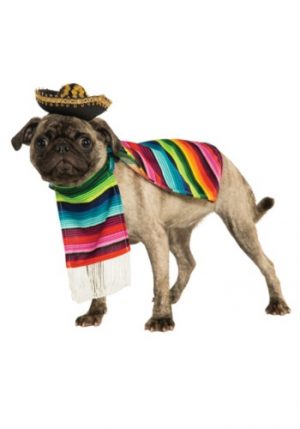 Fantasia de animal de estimação mexicano – Mexican Serape Pet Costume