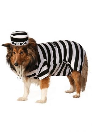 Fantasia de animal de estimação prisioneiro-Prisoner Pet Costume