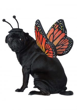 Fantasia de borboleta para animais de estimação – Monarch Butterfly Costume for Pets
