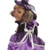 Fantasia de bruxa para cão – Purple Witch Dog Costume