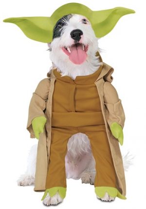 Fantasia de cachorro Yoda- Yoda Dog Costume