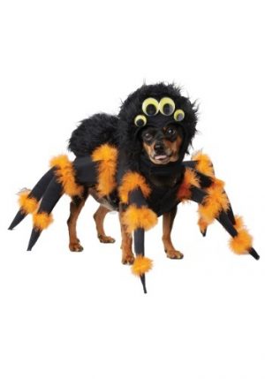 Fantasia de cachorro aranha – Spider Pup Costume