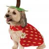 Fantasia de cachorro com morango- Yummy Strawberry Dog Costume