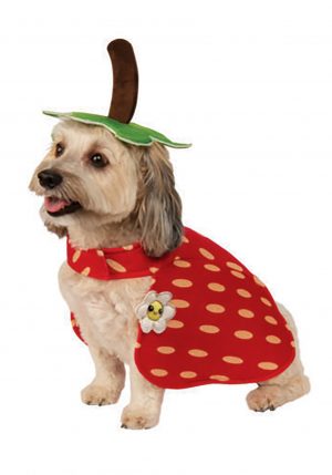 Fantasia de cachorro com morango- Yummy Strawberry Dog Costume
