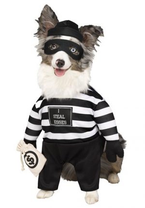 Fantasia de cachorro ladrão – Robber Pup Pet Costume