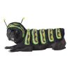 Fantasia de cachorro lagarta – Caterpillar Dog Costume