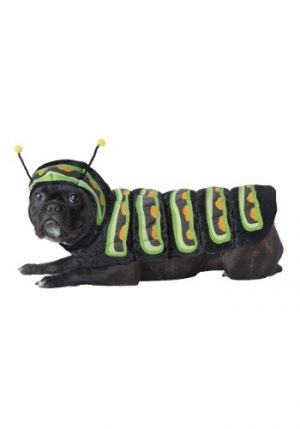 Fantasia de cachorro lagarta – Caterpillar Dog Costume