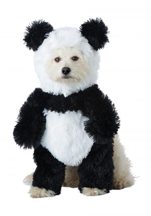 Fantasia de cachorro panda – Panda Dog Costume