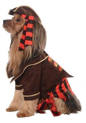 Fantasia de cachorro pirata – Pirate Dog Costume