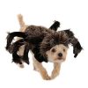 Fantasia de cão de tarântula – Tarantula Dog Costume
