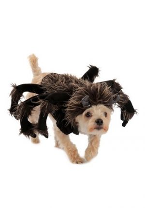 Fantasia de cão de tarântula – Tarantula Dog Costume