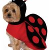 Fantasia de joaninha para cães – Ladybug Costume for Dogs
