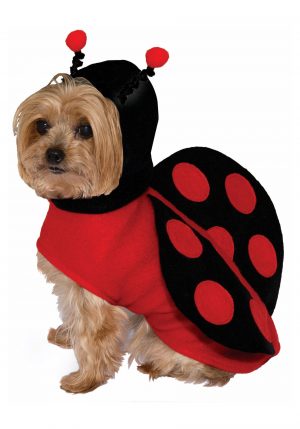 Fantasia de joaninha para cães – Ladybug Costume for Dogs