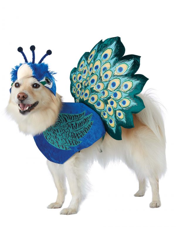 Fantasia de pavão para animais de estimação – Pretty as a Peacock Costume for Pets