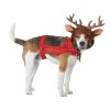 Fantasia de rena de cachorro – Dog Reindeer Costume