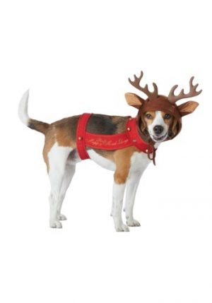 Fantasia de rena de cachorro – Dog Reindeer Costume