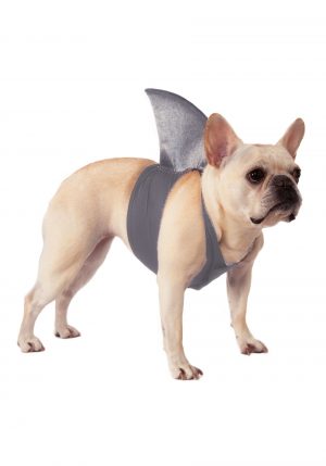 Fantasia para Cachorro de barbatana de tubarão – Shark Fin Dog Costume