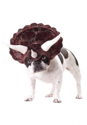 Fantasia de cachorro triceratops – Triceratops Dog Costume