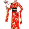 Fantasia de quimono plus size – Plus Size Kimono Costume