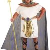 Fantasia Tutancâmon Plus Size para Homens – Plus Size King Tut Costume for Men