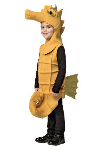 Fantasia de cavalo-marinho infantil- Child Seahorse Costume