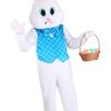 Fantasia de coelhinho da Páscoa doce para adultos – Sweet Easter Bunny Costume for Adults
